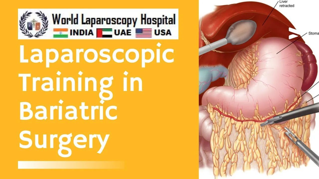 World Laparoscopy Hospital