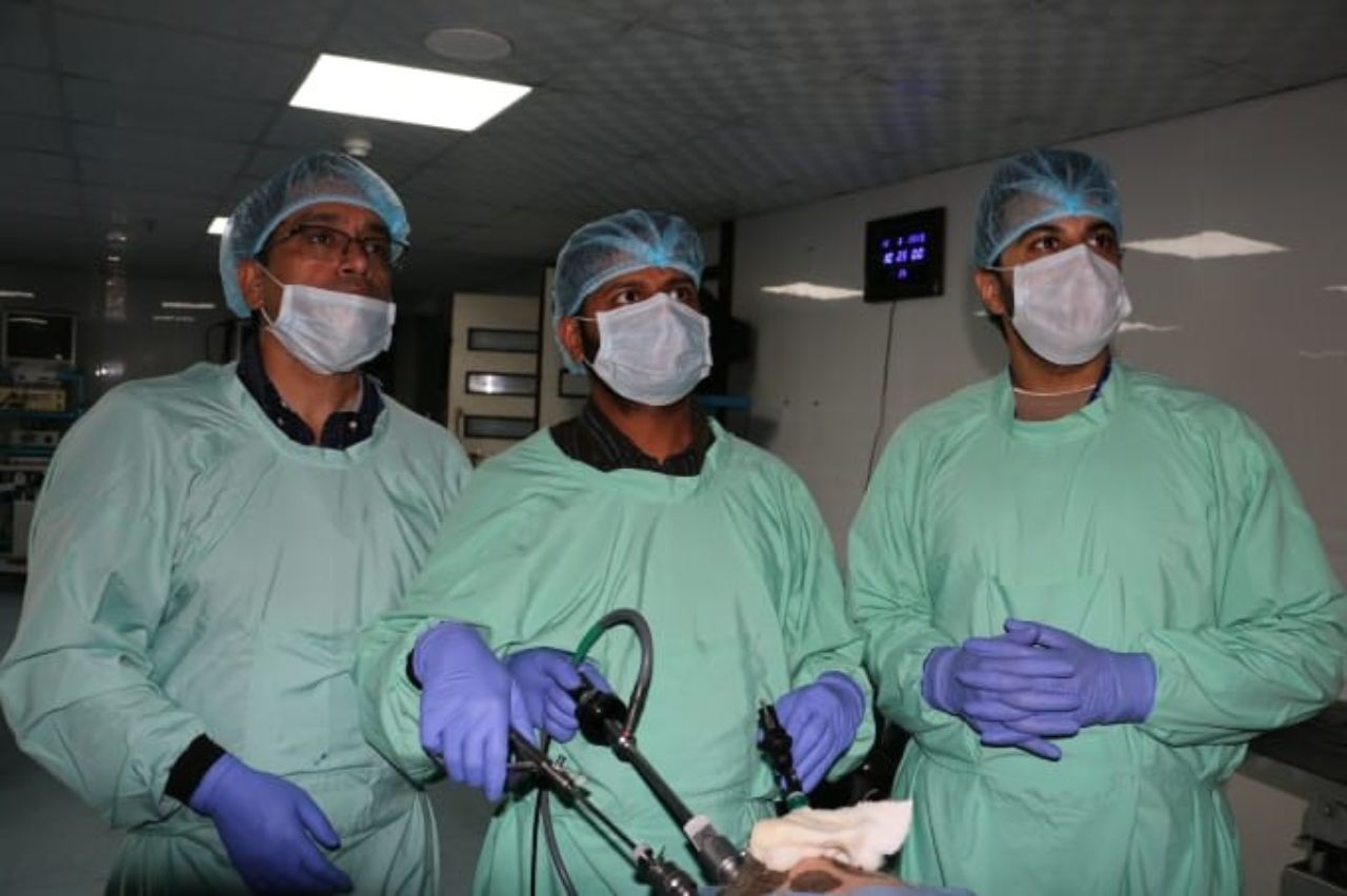 World Laparoscopy Hospital 