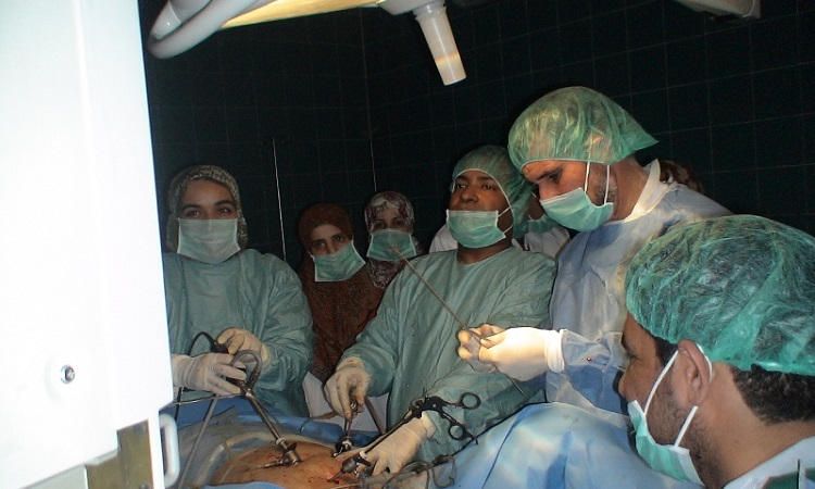 World Laparoscopy Hospital