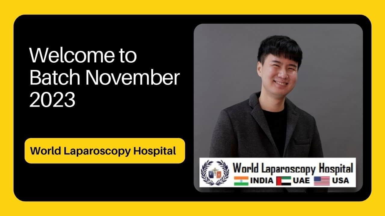 World Laparoscopy Hospital