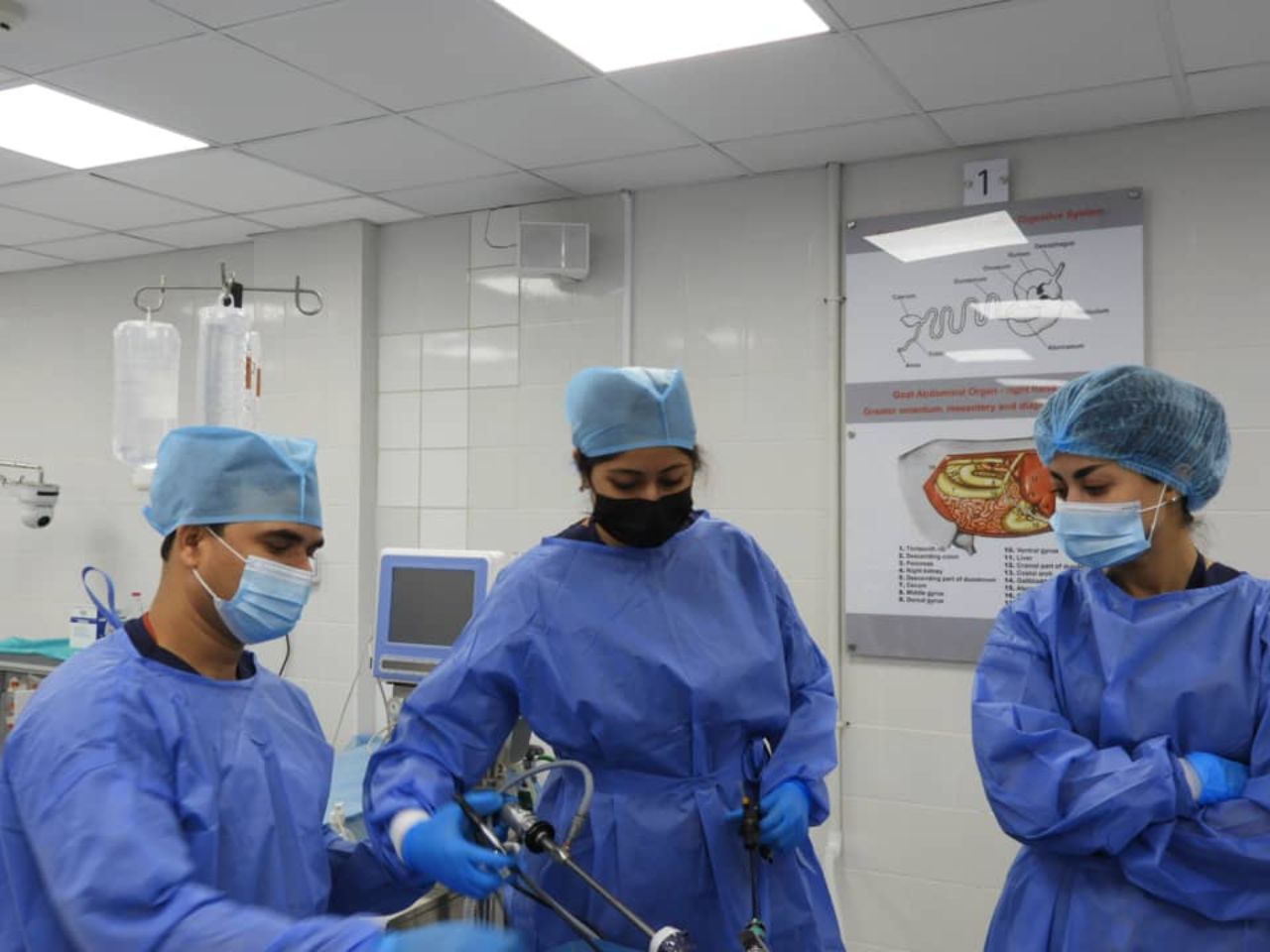 World Laparoscopy Hospital