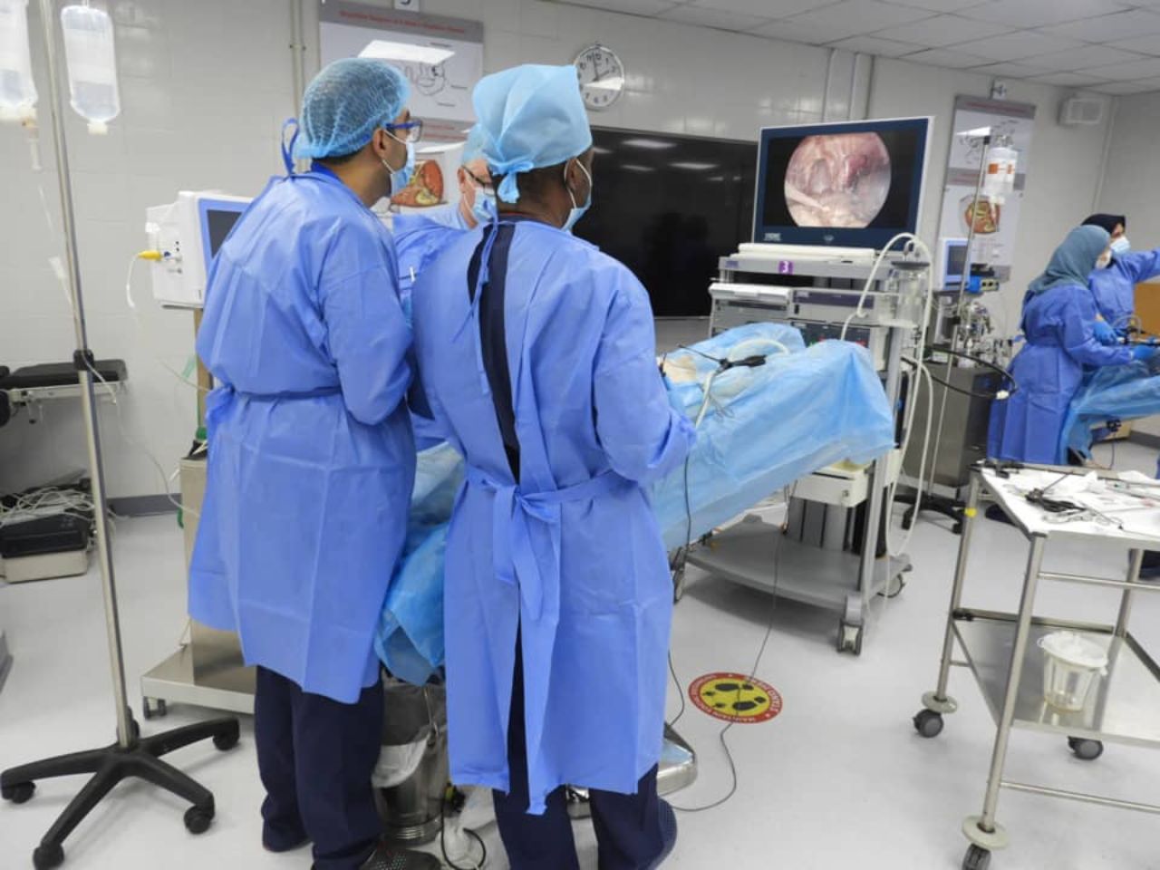 World Laparoscopy Hospital