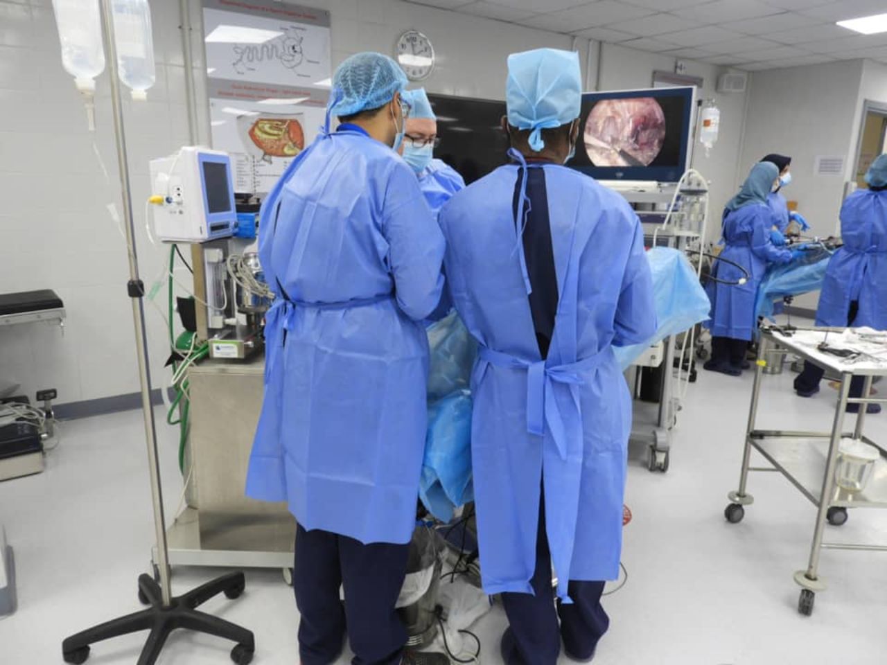 World Laparoscopy Hospital