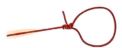 Roedner's Knot