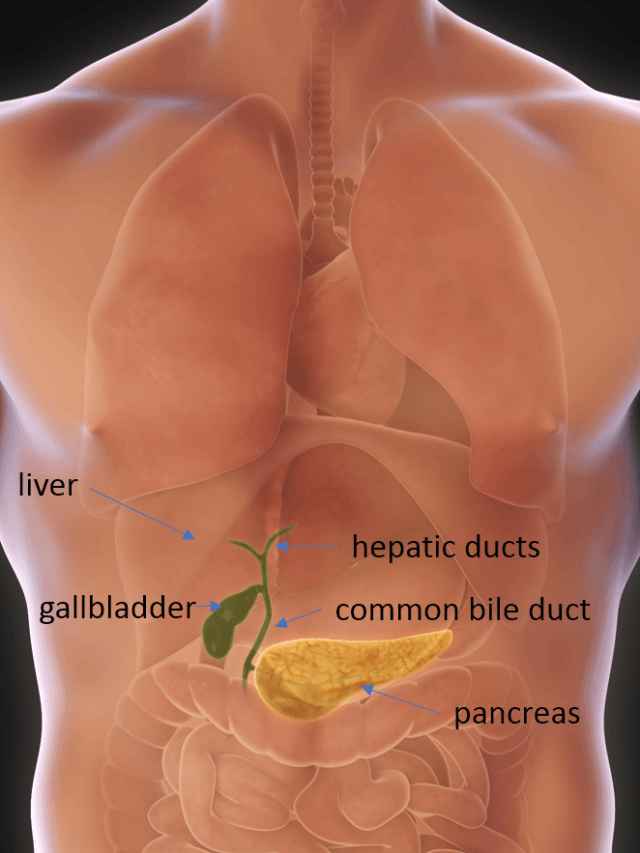 laparoscopic cholecystectomy.