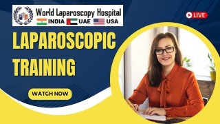 Exploring the World Laparoscopy Hospital Laparoscopic Training Institute