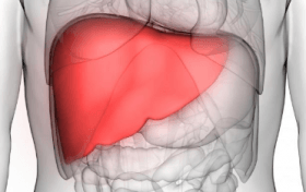 Laparoscopic Liver Transplant Procedure to become Standard