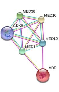 Mutations in a single gene MED12 occur in about 70% of uterine fibroids